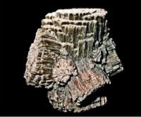 /album/galerie-photos/bastennes-p1-aragonite-10506-mod1-jpg1/